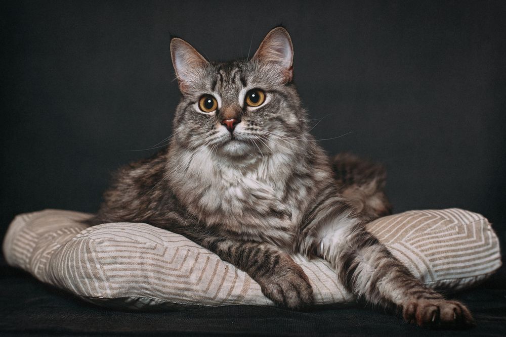 Photograph by Мария Шабурникова