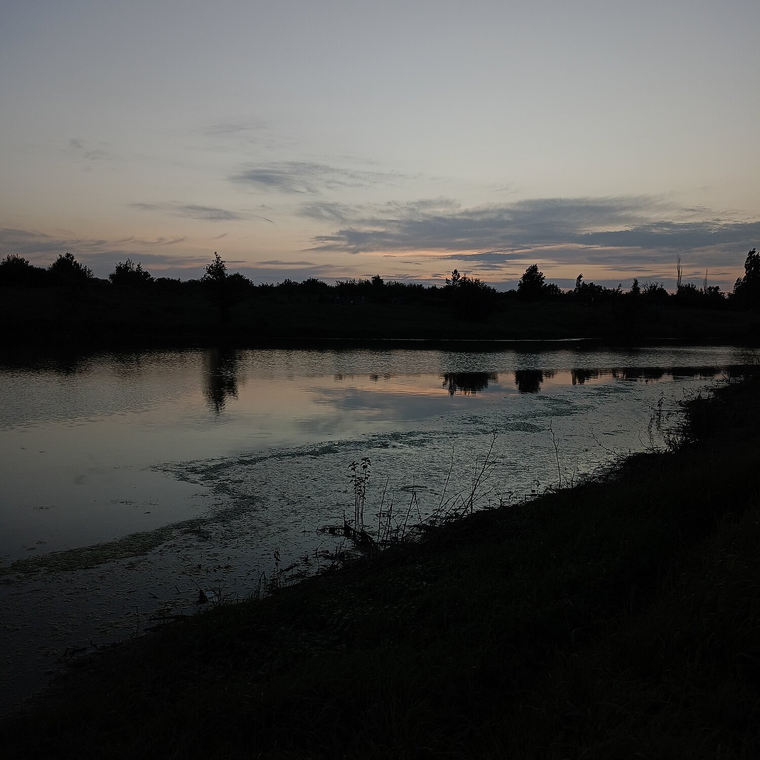 Photo #13308346