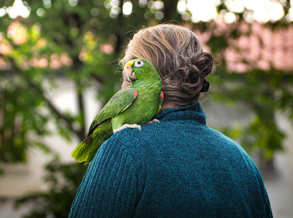 Фотография автора Camilo Rojas
