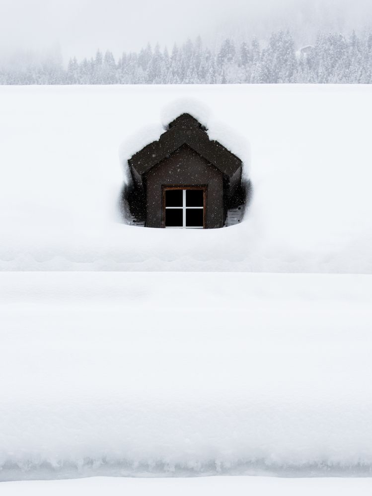 The last windows