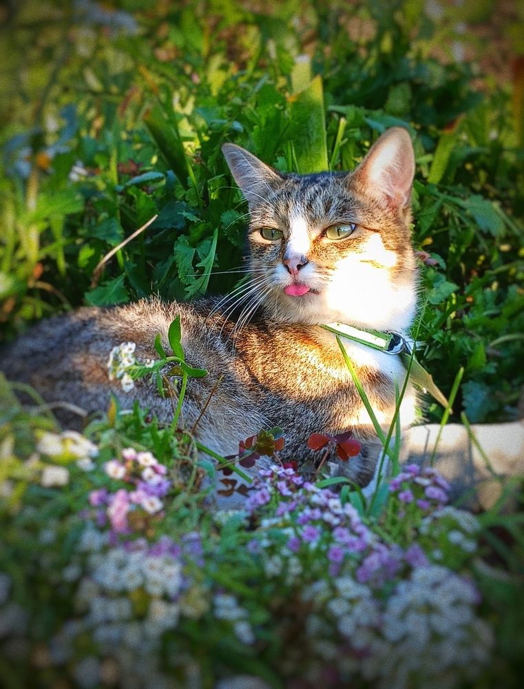 Photograph by Роза Швец