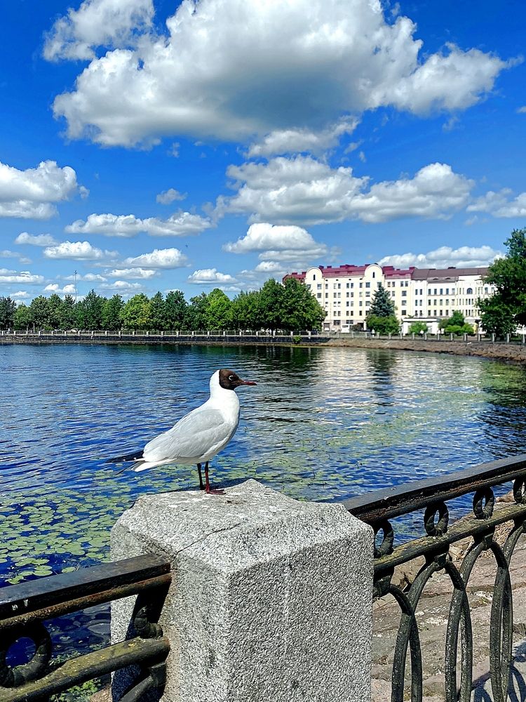 Photograph by Мария Якубовская