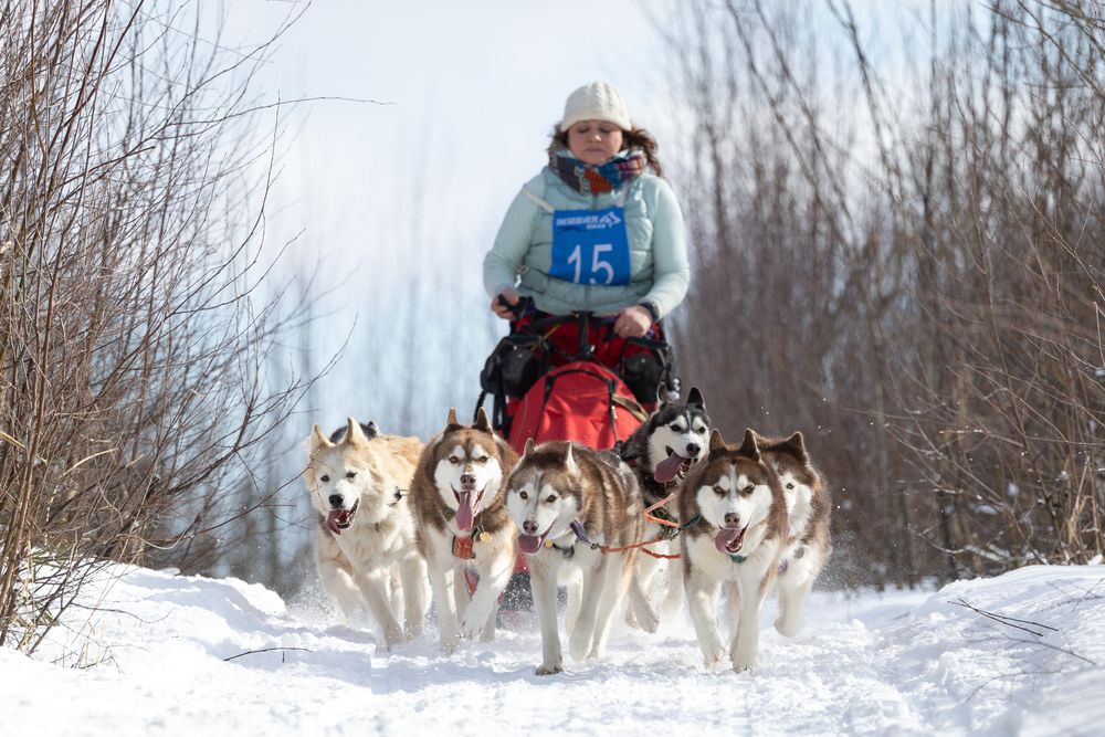 Photograph by Илья Юфа