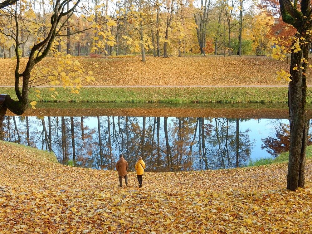 Photograph by Елена Гуляева