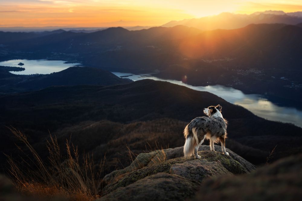 Photograph by Alessia Monaco
