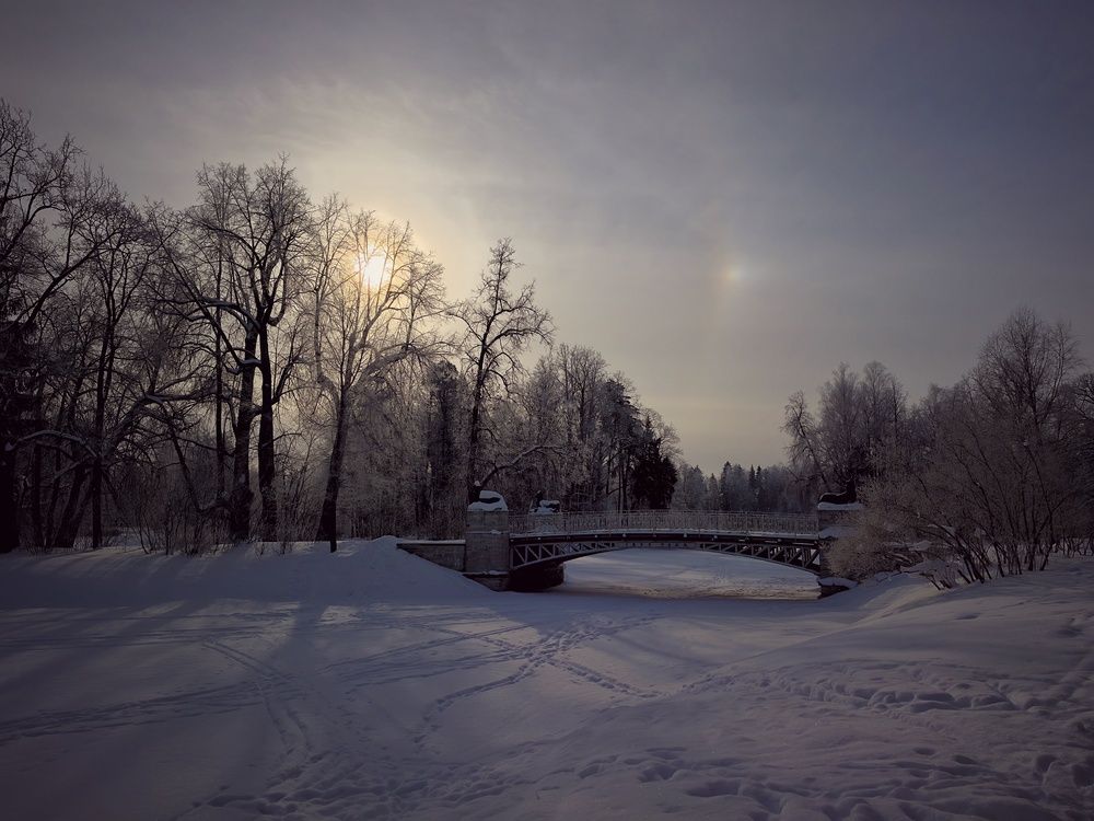 Photograph by Мария Филиппова
