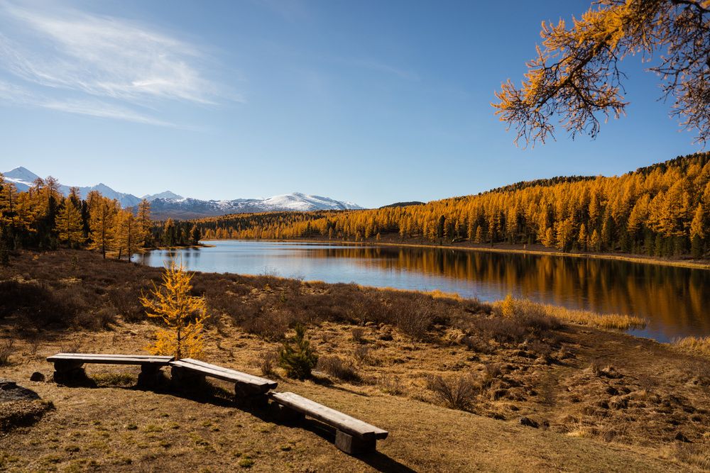 Photograph by Анна Полушина