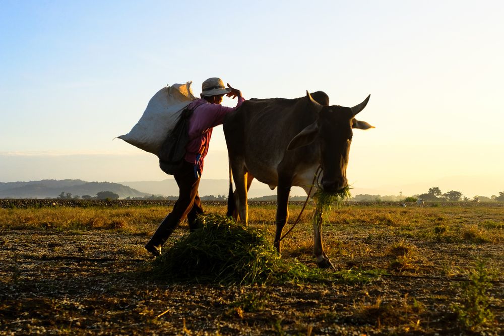 Photograph by Rowell Timoteo