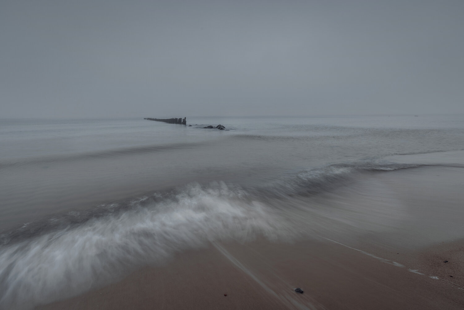 Photo #13308576
