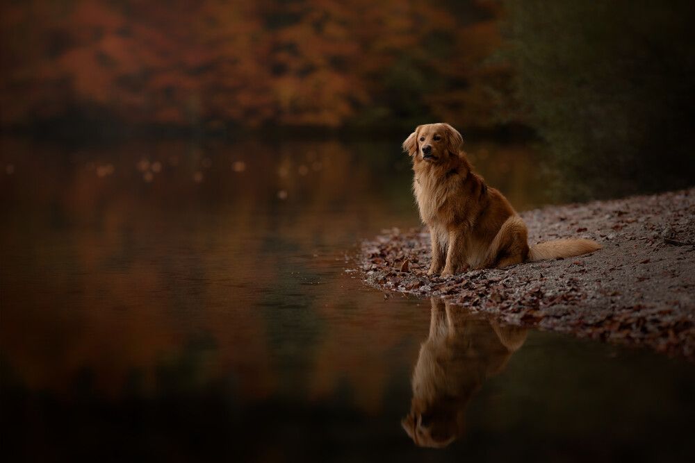 Photograph by Maja Esch