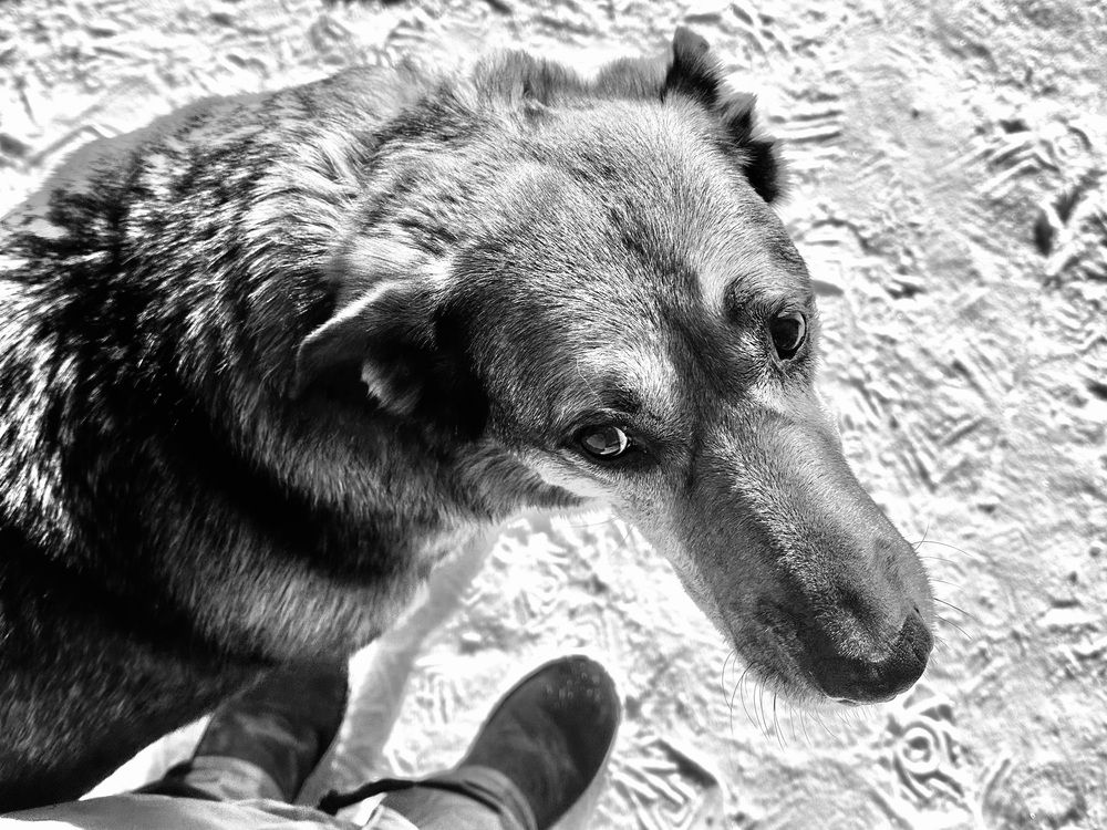 Photograph by Alina Efimova