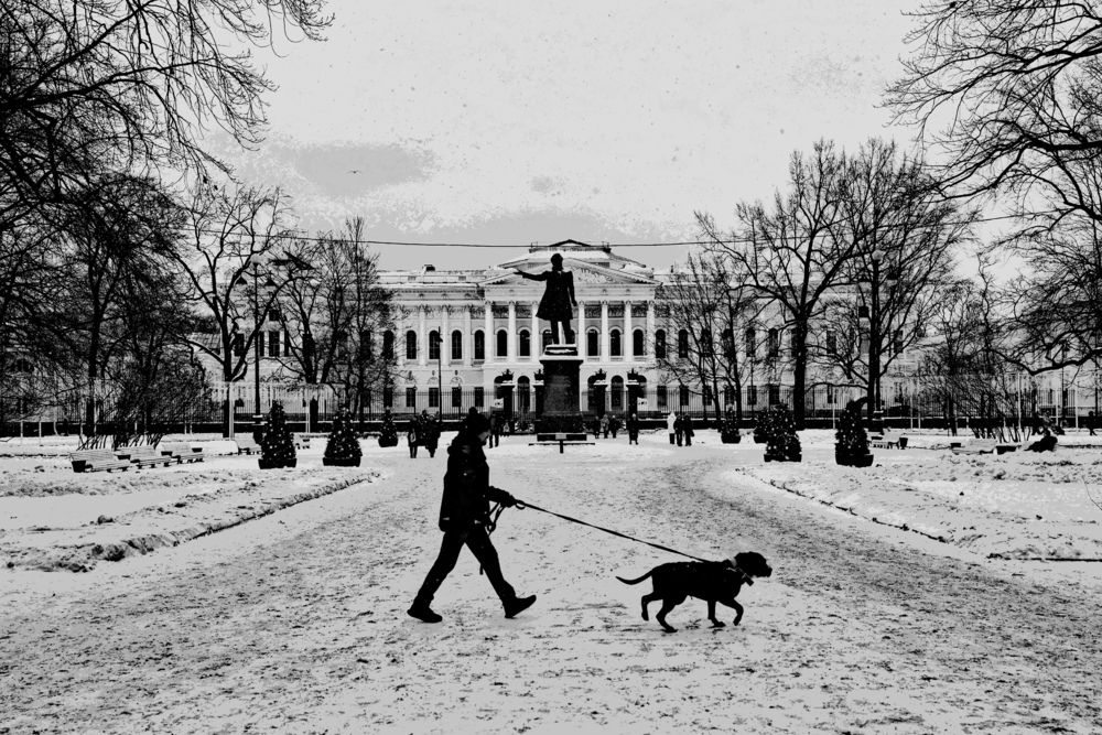 Photograph by Alina Efimova