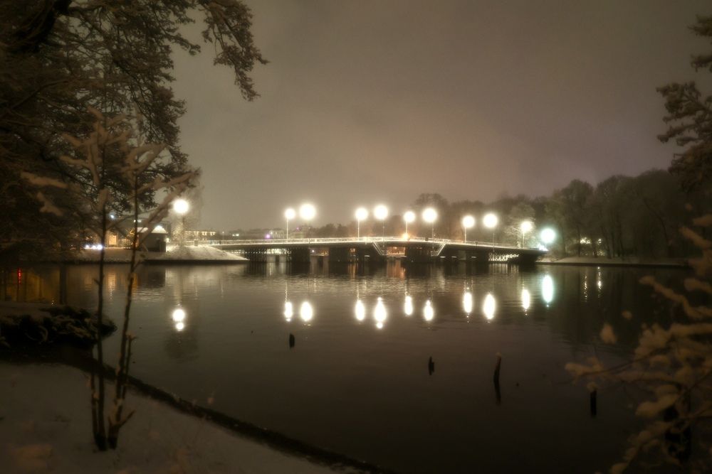 Photograph by Alina Efimova