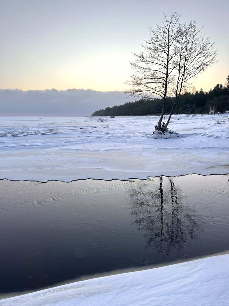 Photograph by Alina Efimova