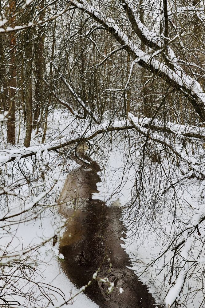 Photograph by Alina Efimova