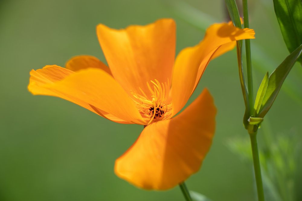 Photograph by Татьяна Новикова