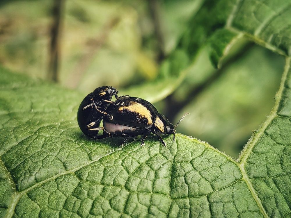 Photograph by НАТАЛЬЯ СЕВЕР