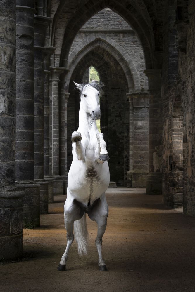 Photograph by Laurence Baty