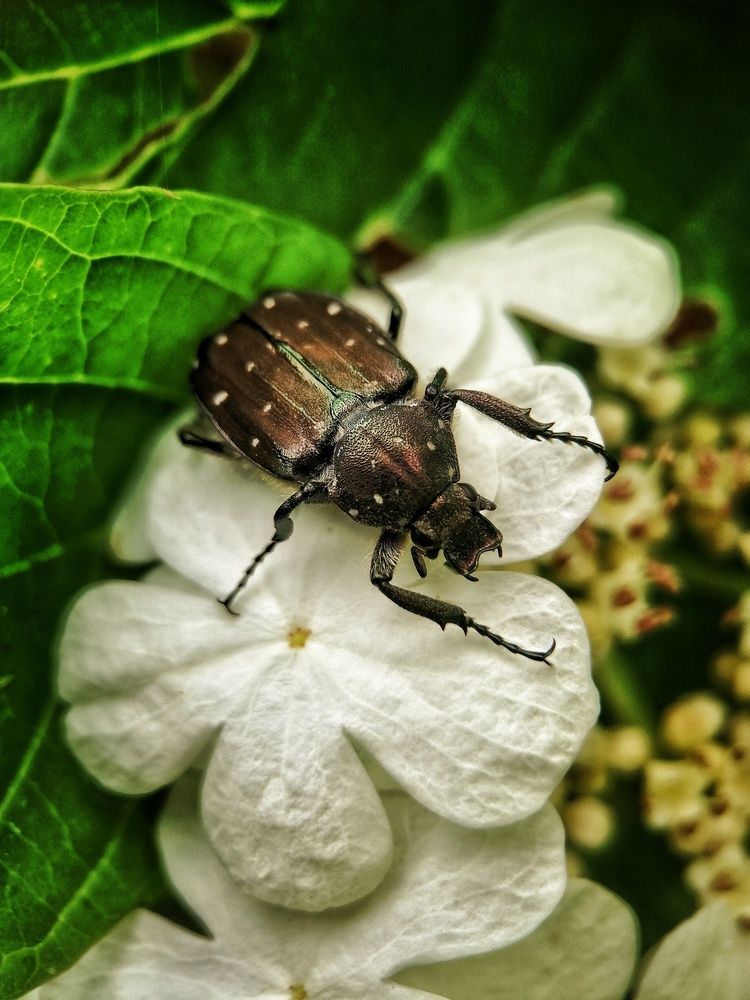 Photograph by НАТАЛЬЯ СЕВЕР