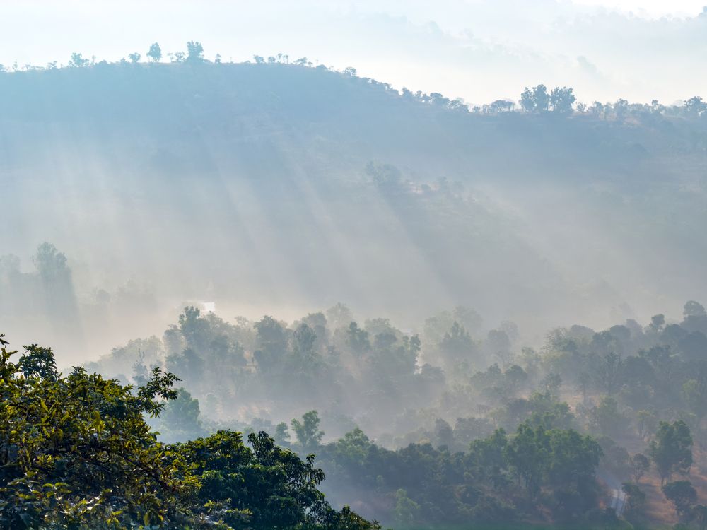 Photograph by Nitin Baste