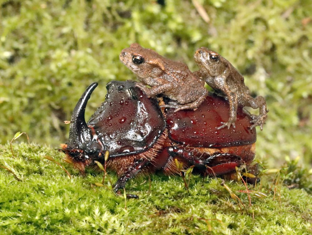 Photograph by Сергей Маслов