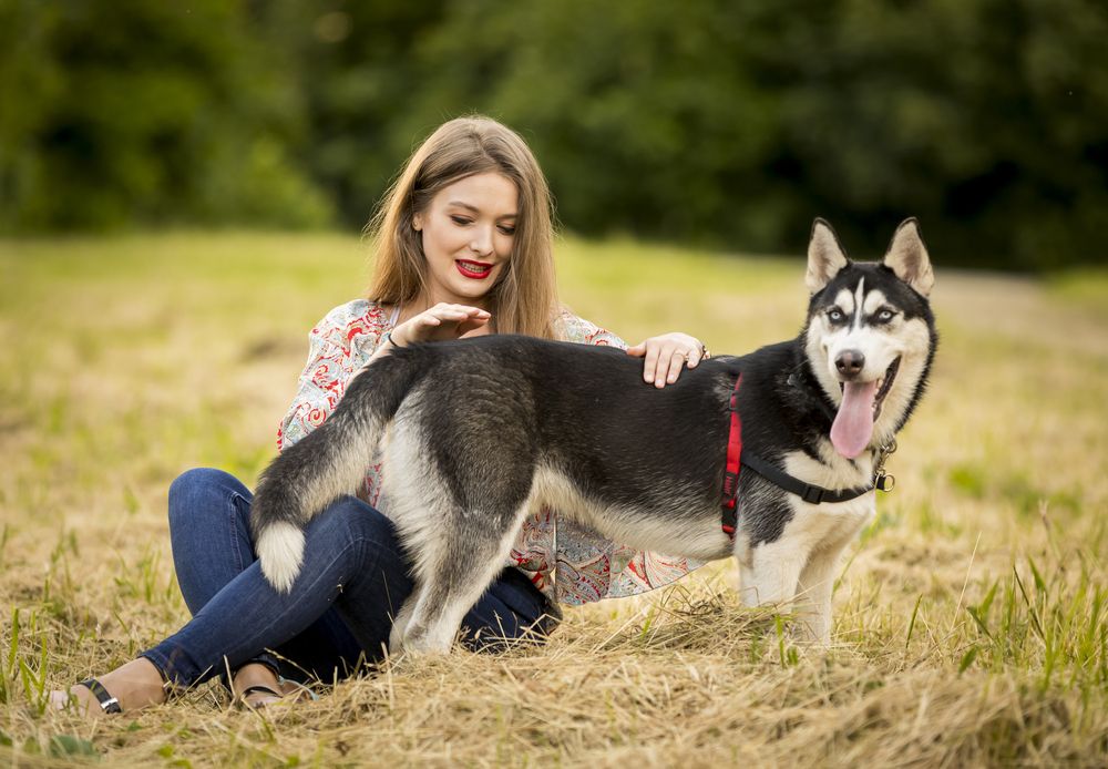 Photograph by COMSA BOGDAN