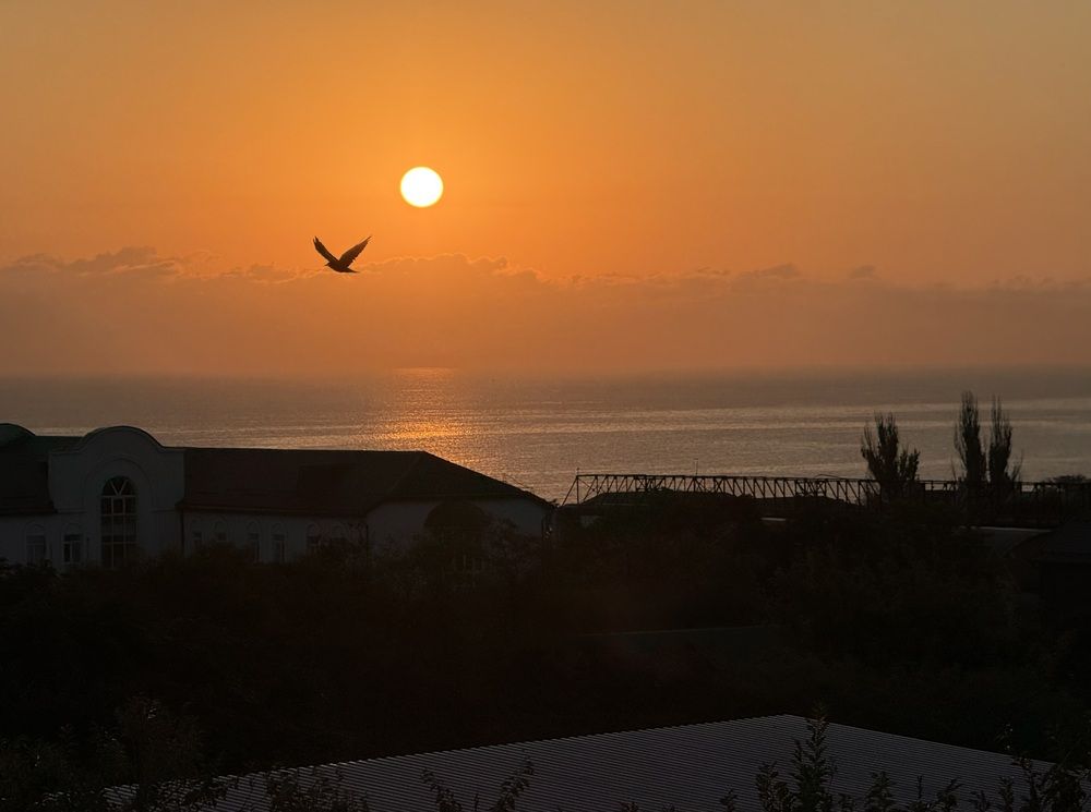 Photograph by Татьяна Раковская