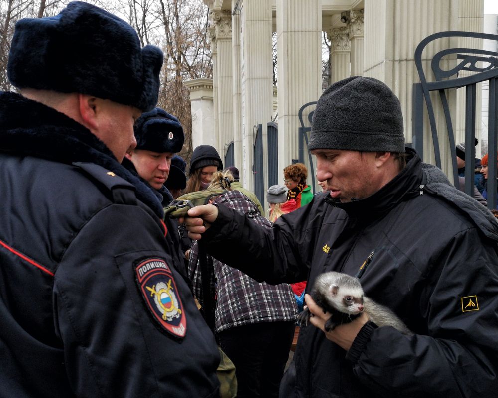 Photograph by Михаил Янкин