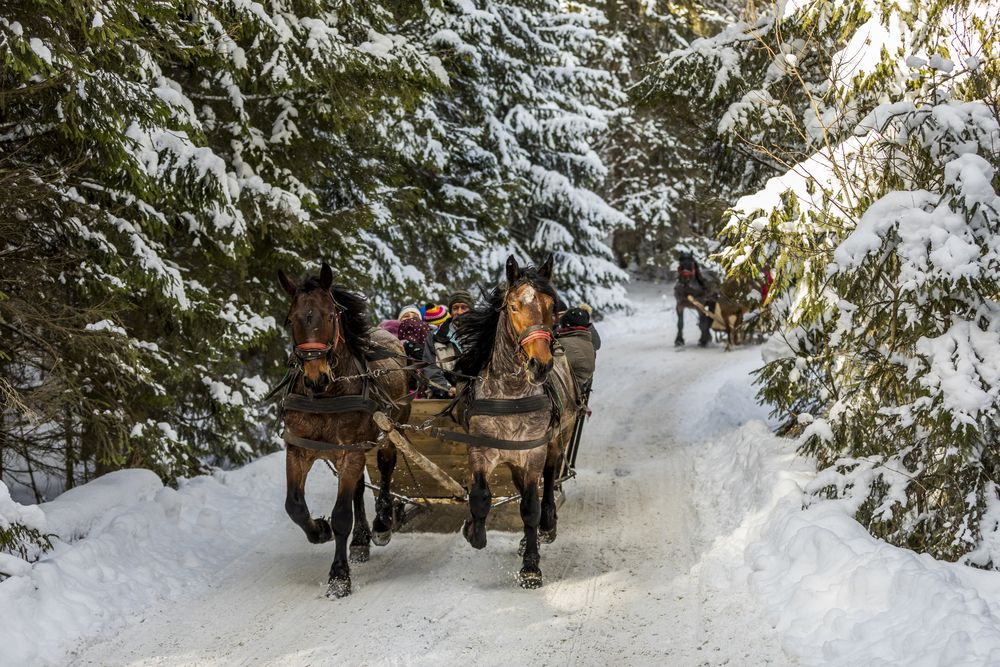 Photograph by COMSA BOGDAN