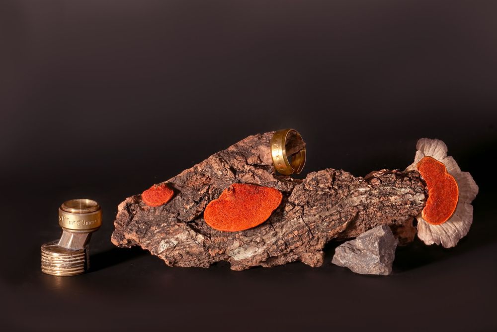 Photograph by Елена Полякова