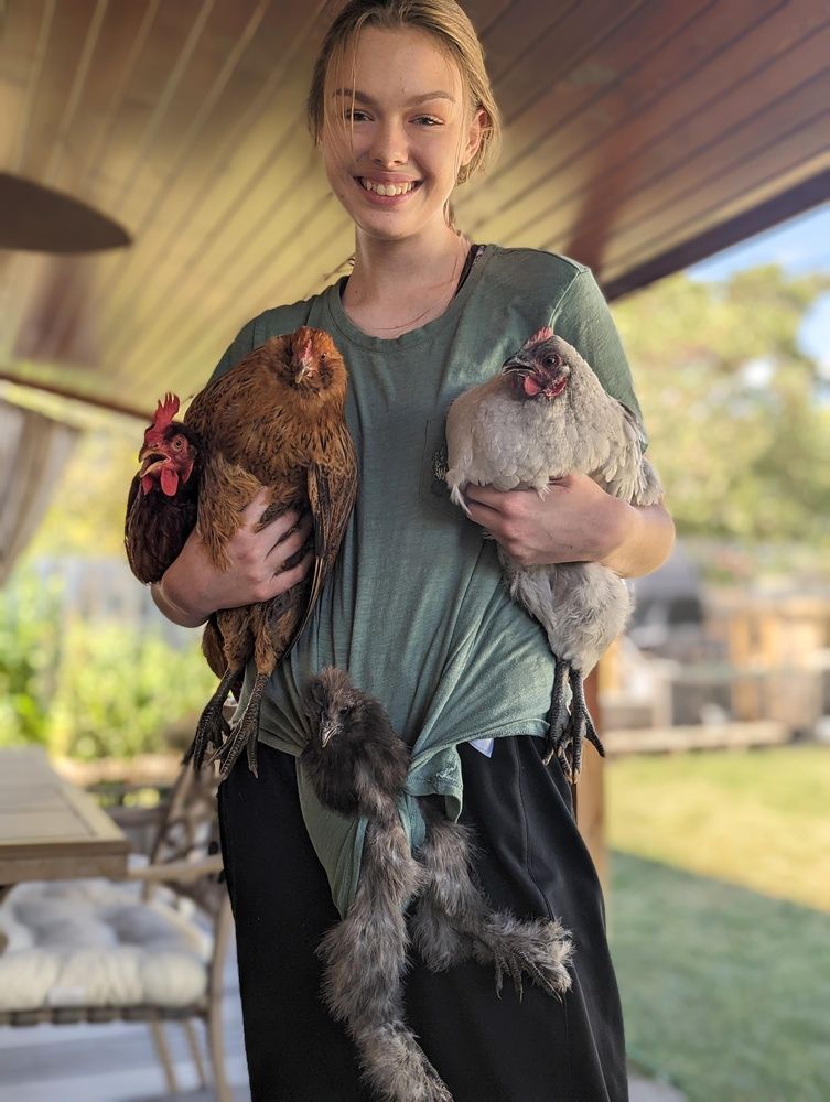 Chicken Whisperer