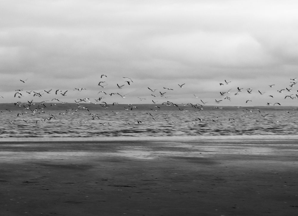 Photograph by Ляйсан Мубаракова
