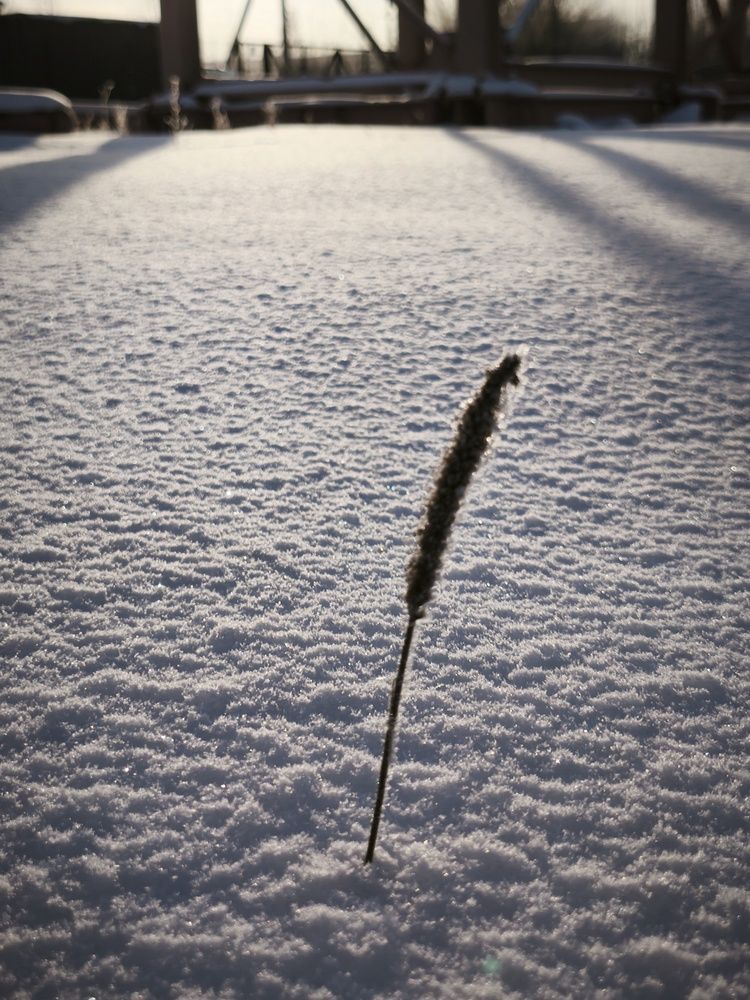 Photograph by Борис Храмцов