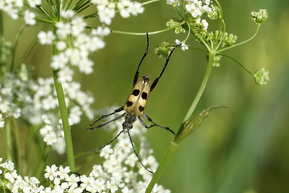 Photograph by Галина Кан