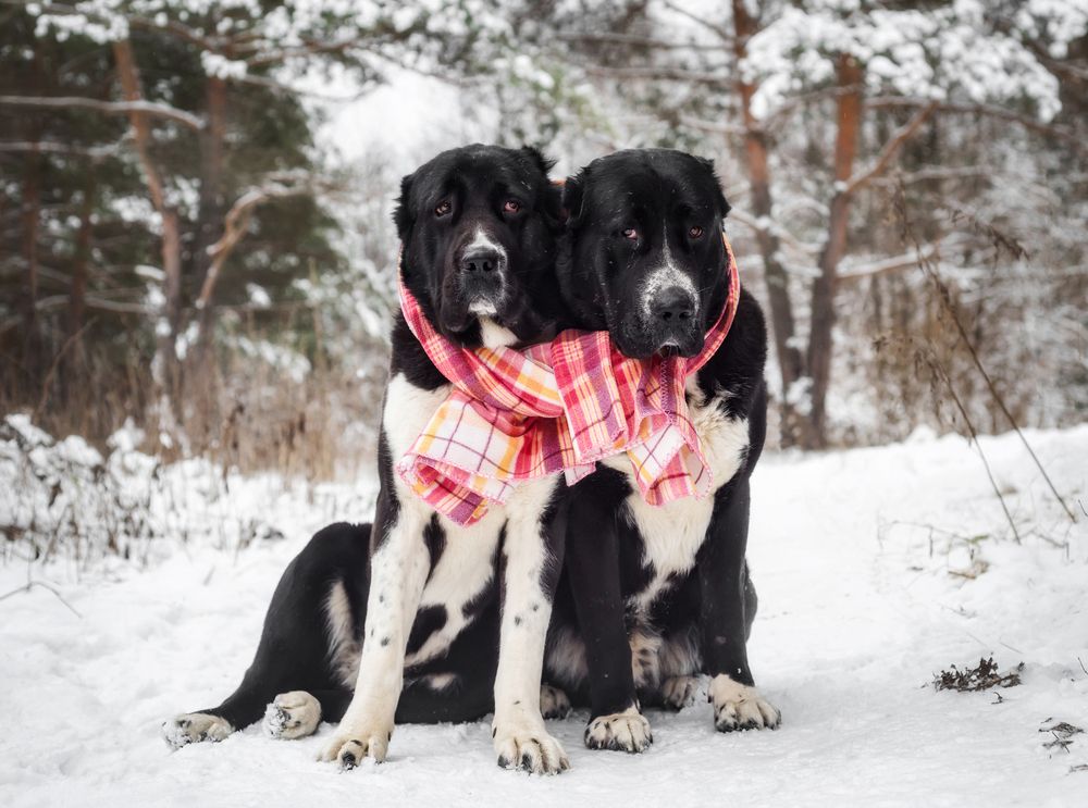 Photograph by Елена Соколова