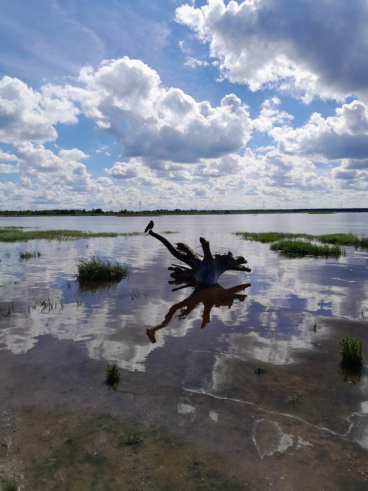 Photograph by Виталий Глазачев