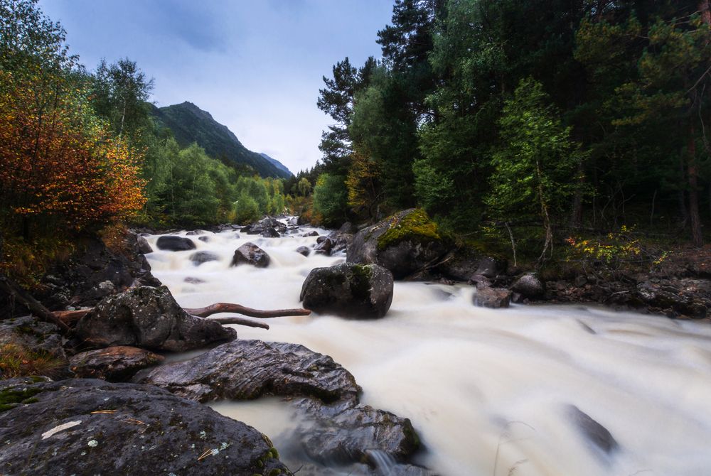 Photograph by Григорова Мария