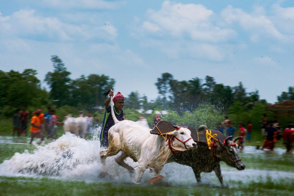 Photograph by Shrinjoy Maiti