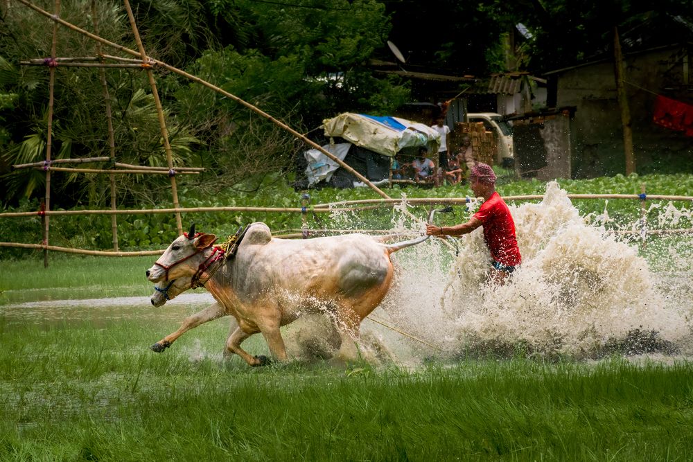 Photograph by Shrinjoy Maiti