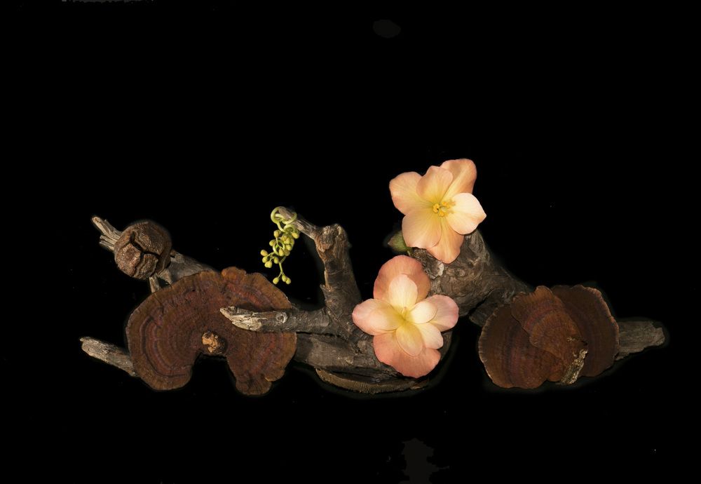 Photograph by Елена Полякова