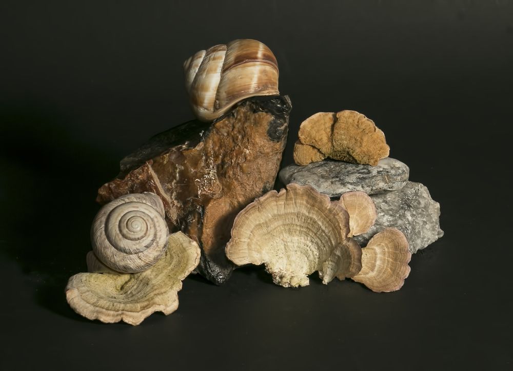 Photograph by Елена Полякова
