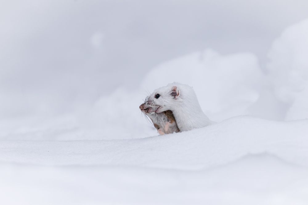 Photograph by Антон Науменко