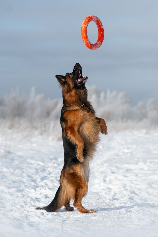 Photograph by Светлана Гантажевская