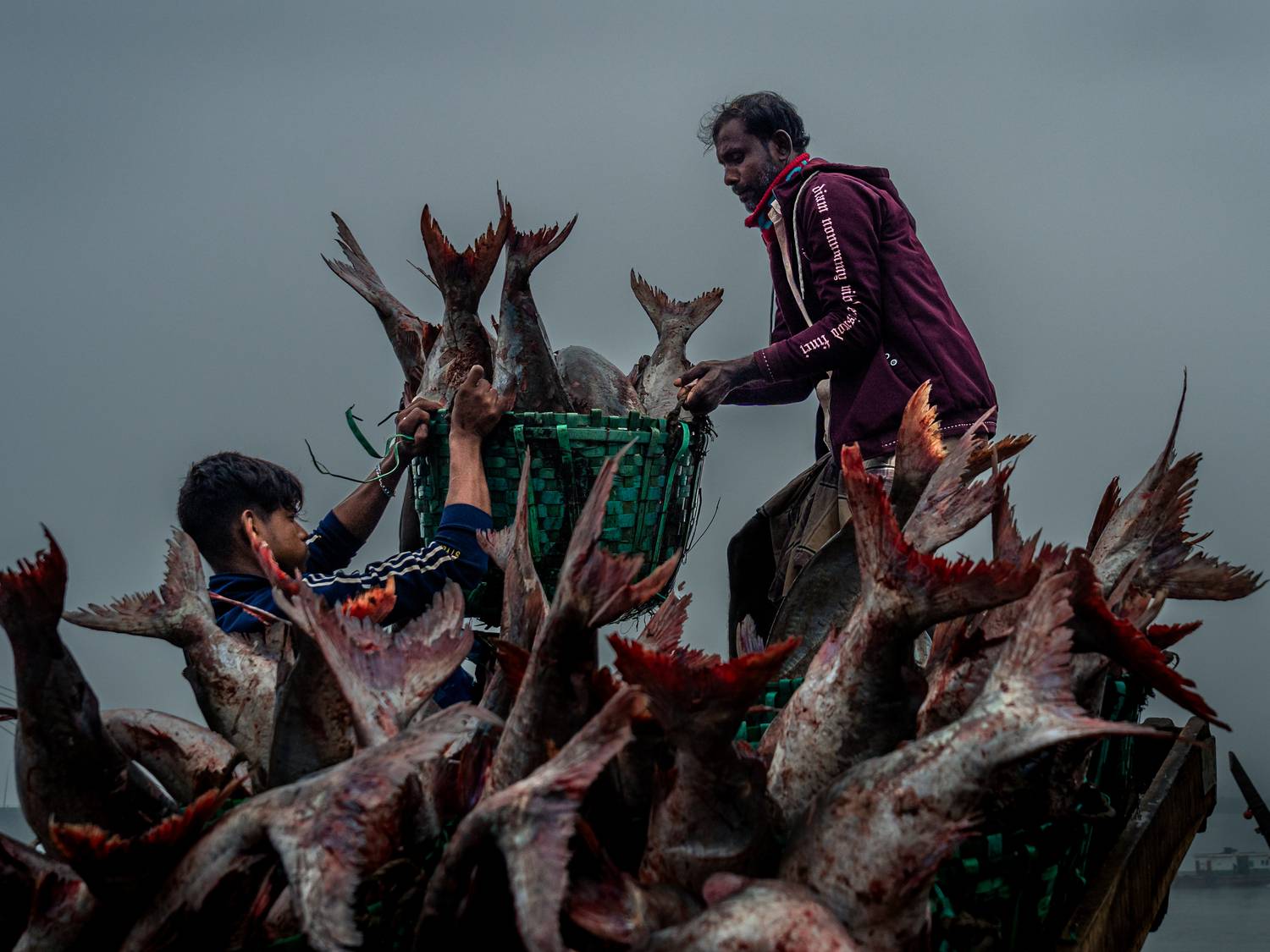 Salty Harvest to Market Salty Harvest to Market