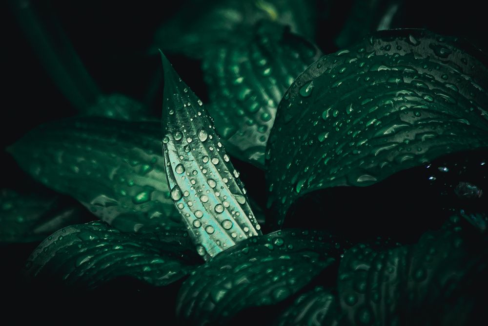 Photograph by Elena Chilikina