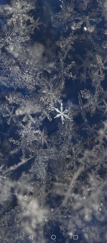 Photograph by Павел Шагулин