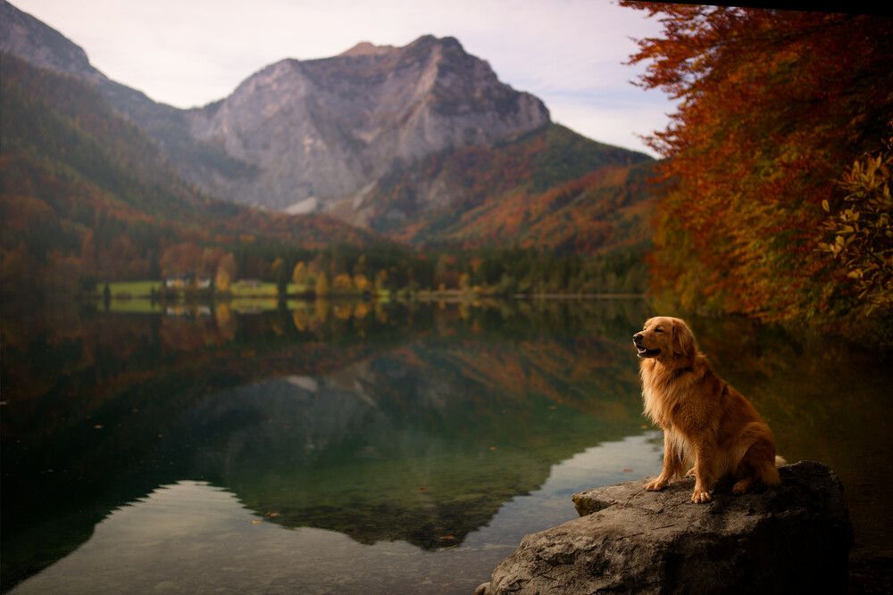 Photograph by Maja Esch