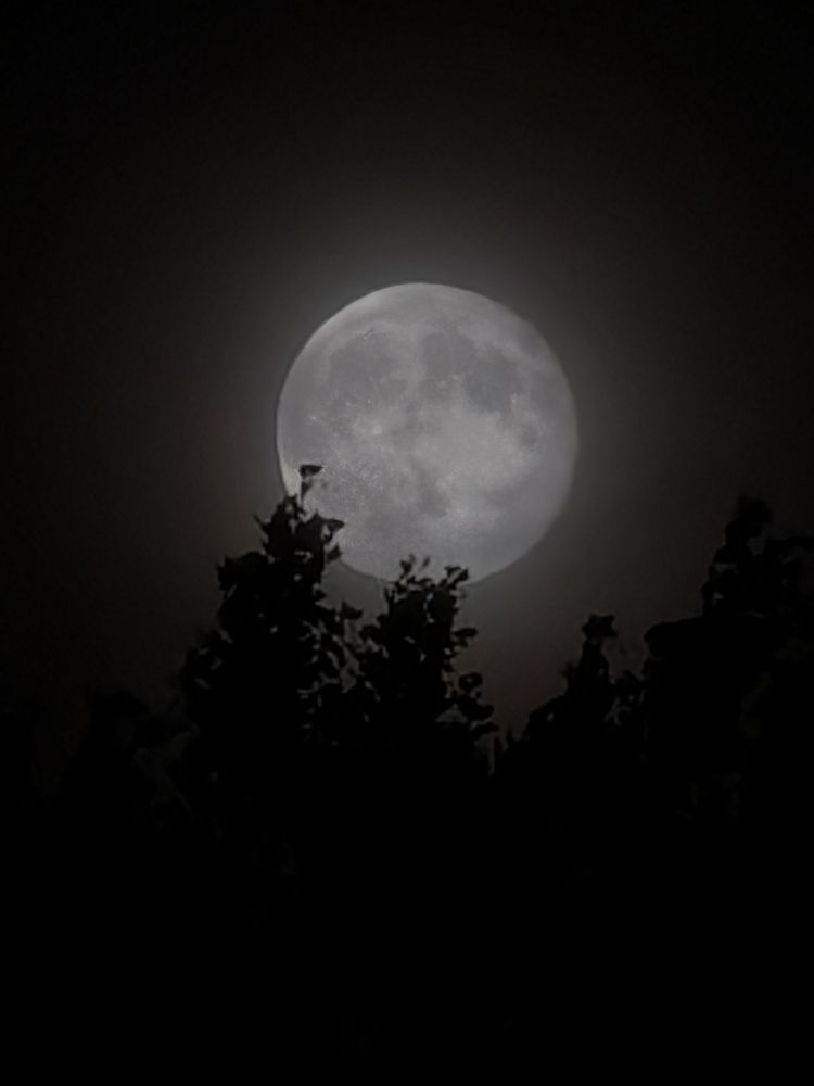 Photograph by Павел Шагулин