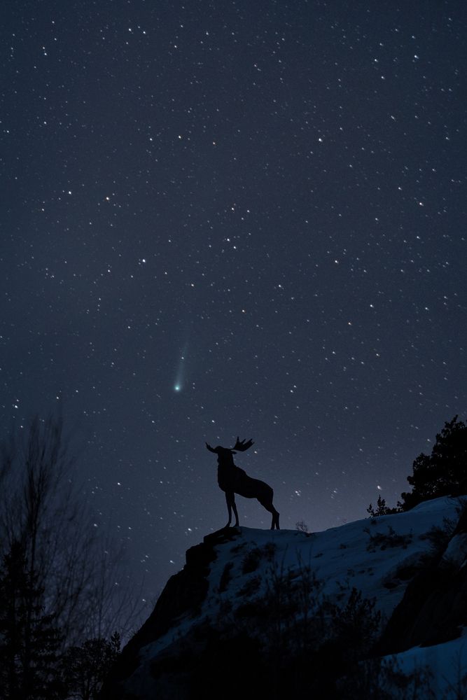 Photograph by Уфимцев Юрий