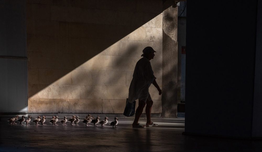 Photograph by Владислав Шерман